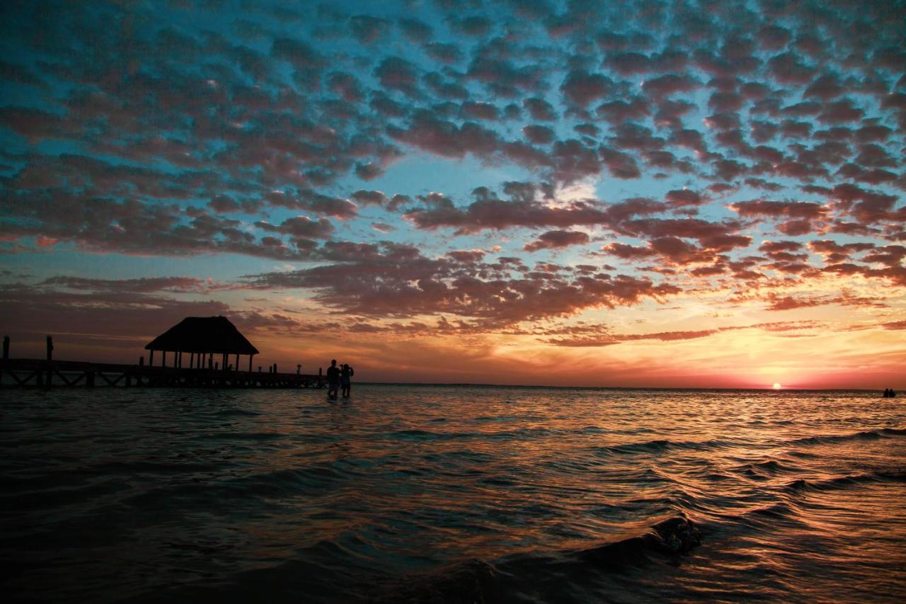Che Holbox Hostel & Bar Adults Only Exterior photo